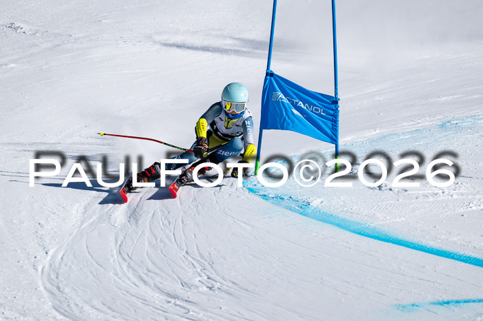 DSV Actanol Schülercup Alpin U14 RS+, 31.01.2026