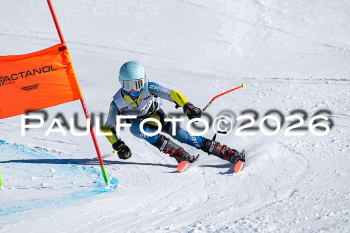 DSV Actanol Schülercup Alpin U14 RS+, 31.01.2026