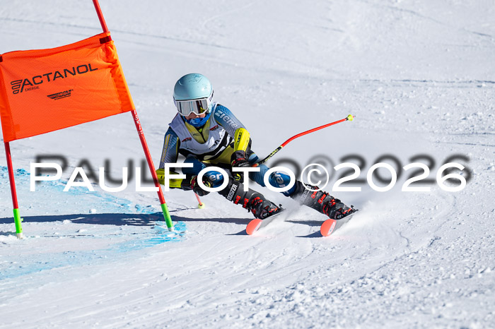 DSV Actanol Schülercup Alpin U14 RS+, 31.01.2026