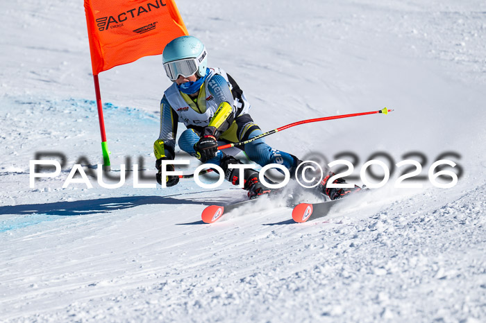 DSV Actanol Schülercup Alpin U14 RS+, 31.01.2026