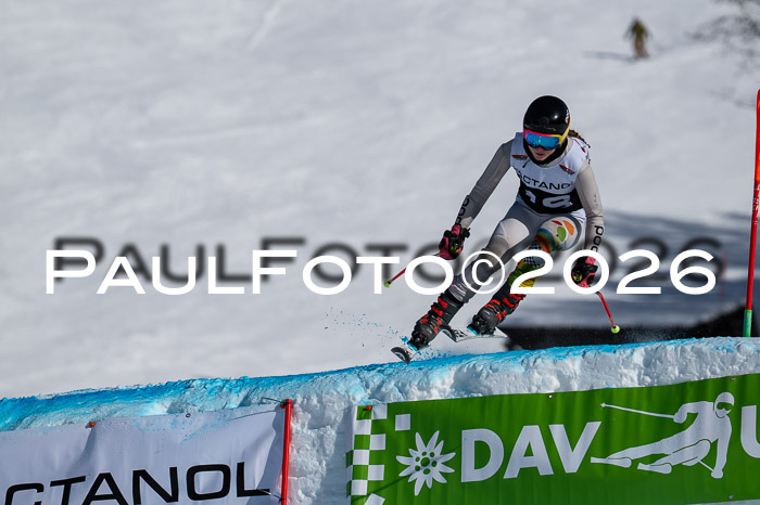 DSV Actanol Schülercup Alpin U14 RS+, 31.01.2026