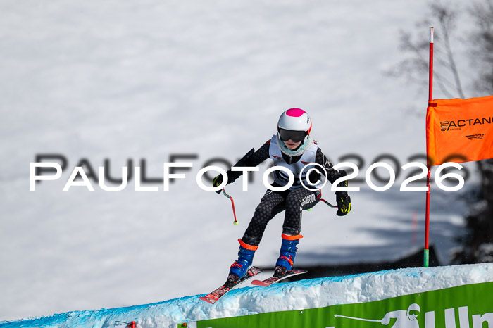 DSV Actanol Schülercup Alpin U14 RS+, 31.01.2026