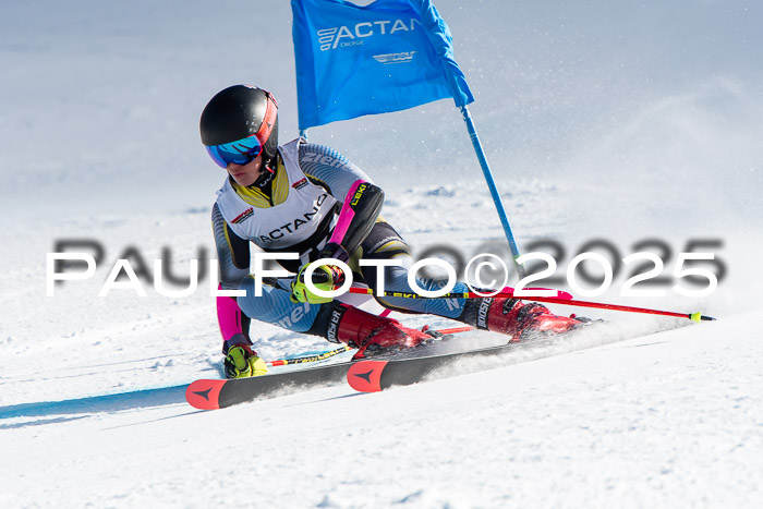 DSV Actanol Schülercup U16  RS, 31.01.2026