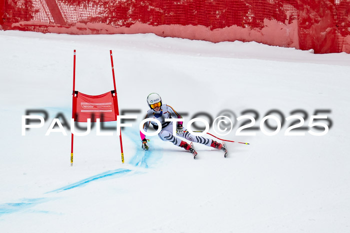 FIS SG Damen + Herren, Kandahar 01.02.2026