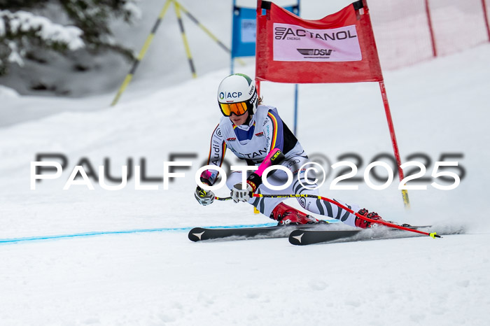 FIS SG Damen + Herren, Kandahar 01.02.2026