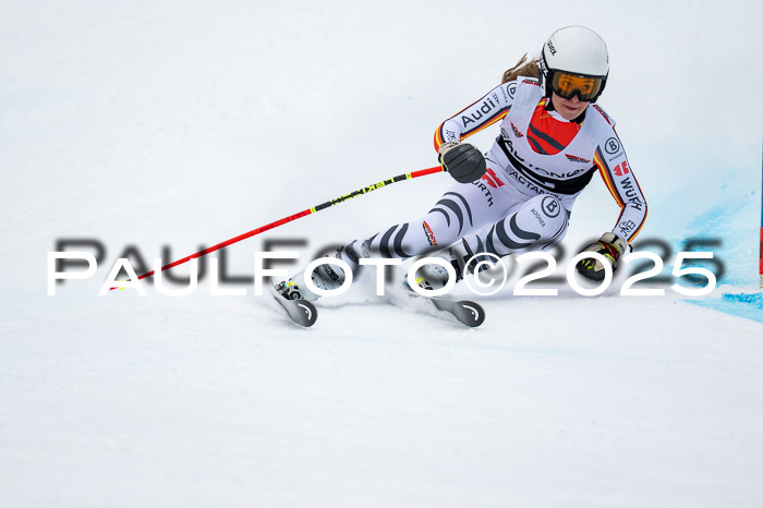 FIS SG Damen + Herren, Kandahar 01.02.2026