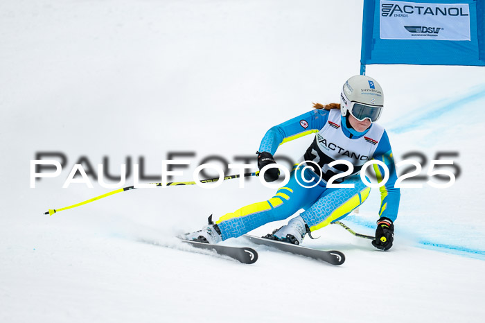 FIS SG Damen + Herren, Kandahar 01.02.2026