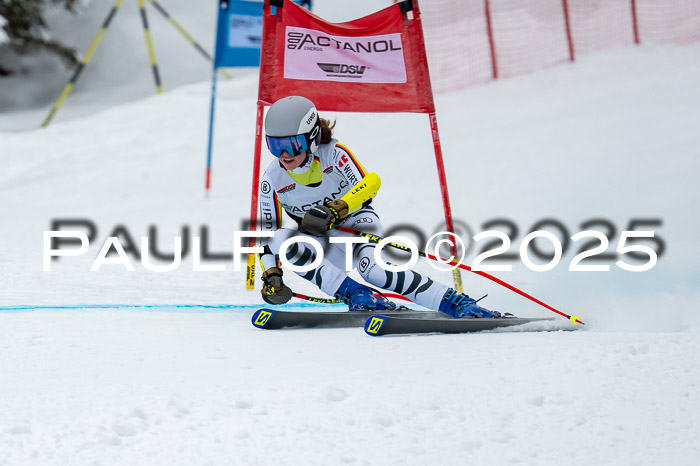 FIS SG Damen + Herren, Kandahar 01.02.2026