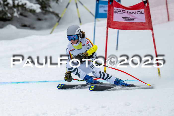 FIS SG Damen + Herren, Kandahar 01.02.2026