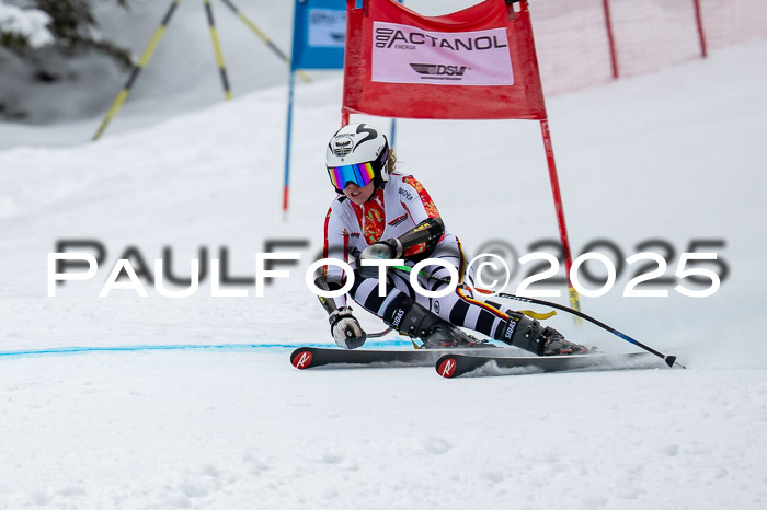 FIS SG Damen + Herren, Kandahar 01.02.2026