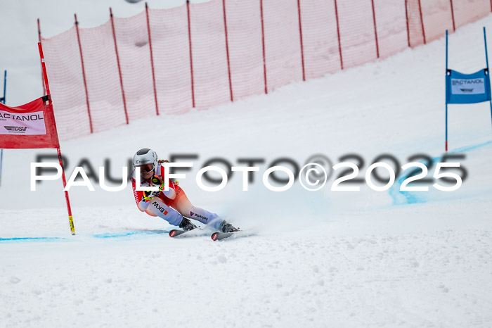 FIS SG Damen + Herren, Kandahar 01.02.2026