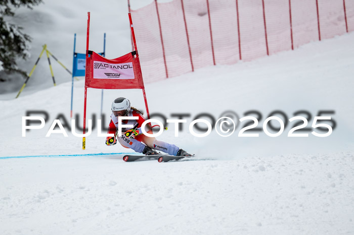 FIS SG Damen + Herren, Kandahar 01.02.2026