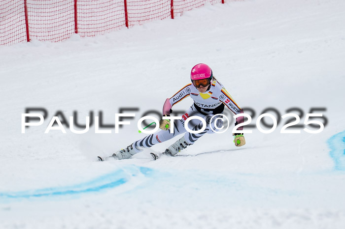 FIS SG Damen + Herren, Kandahar 01.02.2026