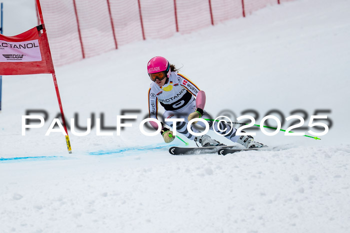 FIS SG Damen + Herren, Kandahar 01.02.2026