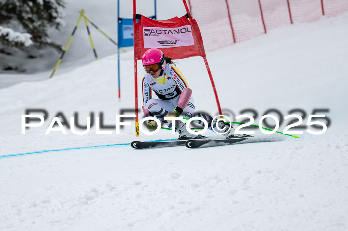 FIS SG Damen + Herren, Kandahar 01.02.2026