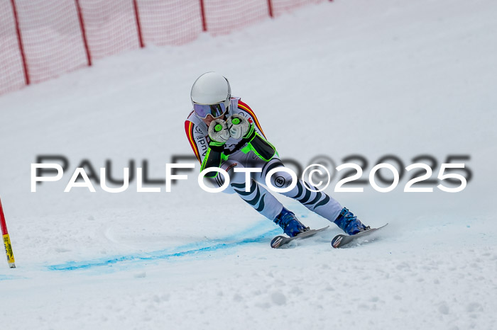 FIS SG Damen + Herren, Kandahar 01.02.2026