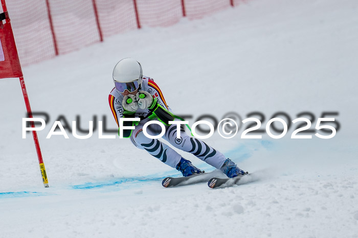 FIS SG Damen + Herren, Kandahar 01.02.2026