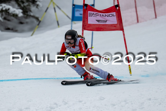 FIS SG Damen + Herren, Kandahar 01.02.2026