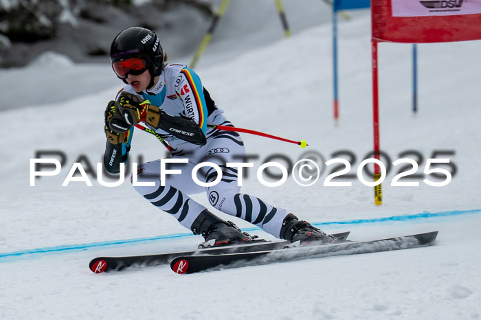 FIS SG Damen + Herren, Kandahar 01.02.2026