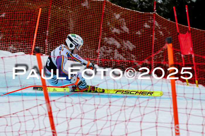 FIS SG Damen + Herren, Kandahar 01.02.2026