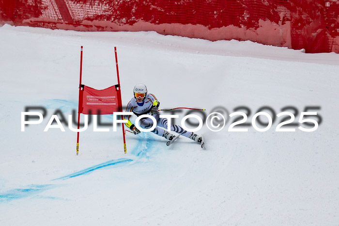 FIS SG Damen + Herren, Kandahar 01.02.2026