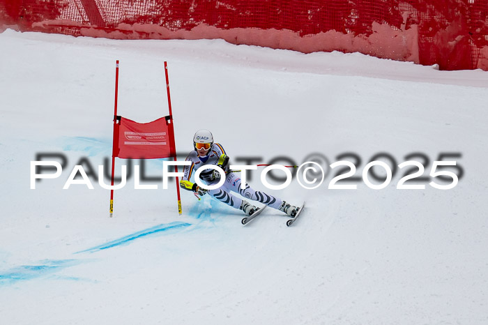 FIS SG Damen + Herren, Kandahar 01.02.2026