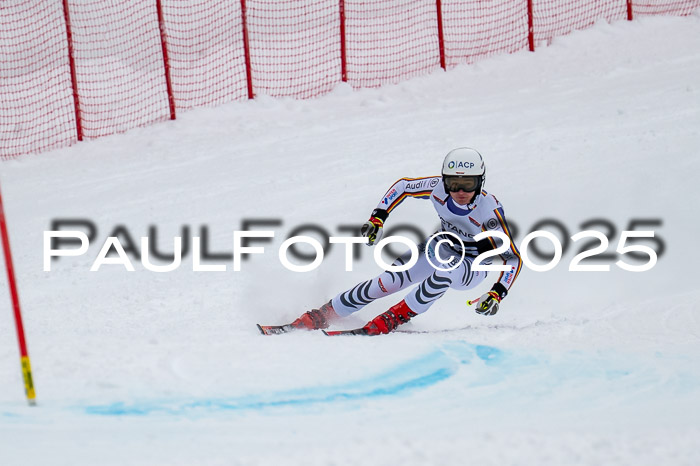 FIS SG Damen + Herren, Kandahar 01.02.2026