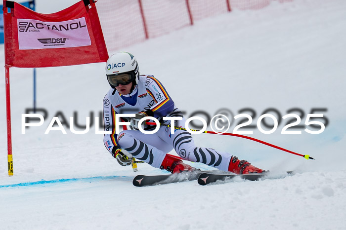 FIS SG Damen + Herren, Kandahar 01.02.2026