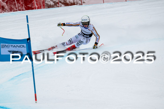 FIS SG Damen + Herren, Kandahar 01.02.2026