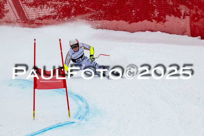 FIS SG Damen + Herren, Kandahar 01.02.2026