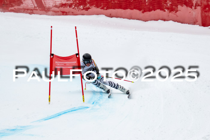 FIS SG Damen + Herren, Kandahar 01.02.2026