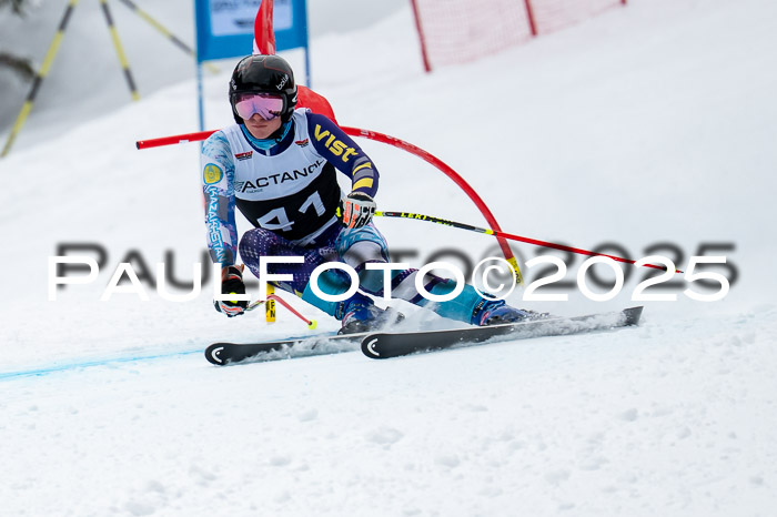 FIS SG Damen + Herren, Kandahar 01.02.2026