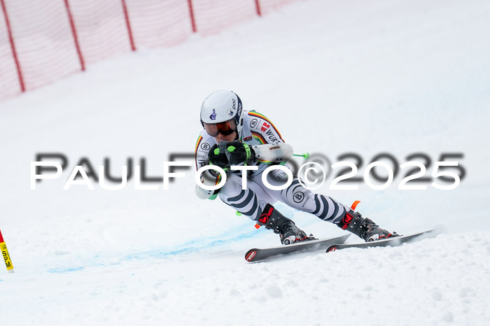 FIS SG Damen + Herren, Kandahar 01.02.2026