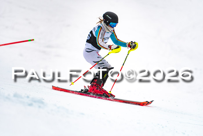 DSV Actanol Schülercup U16 SL