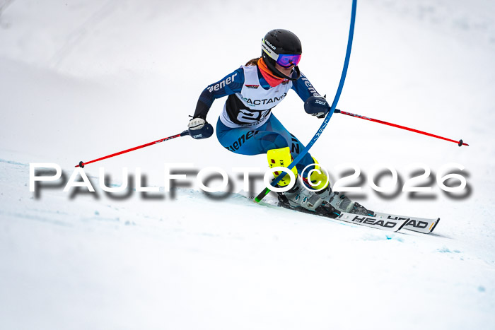 DSV Actanol Schülercup U16 SL