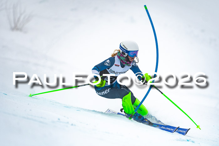 DSV Actanol Schülercup U16 SL