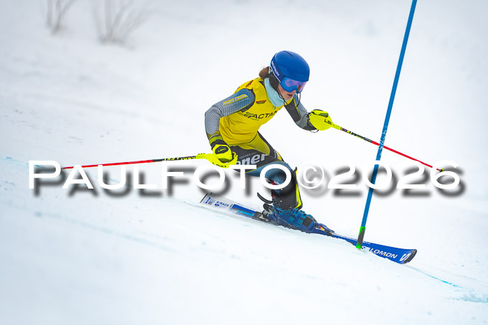 DSV Actanol Schülercup U16 SL