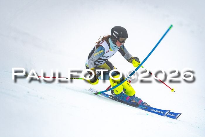 DSV Actanol Schülercup U16 SL