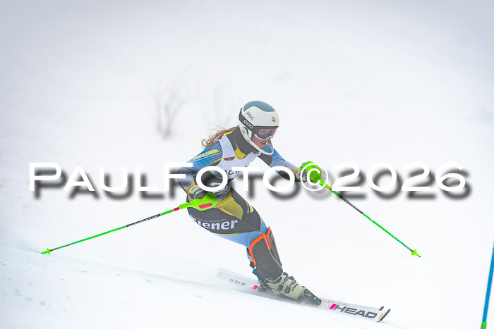 DSV Actanol Schülercup U16 SL