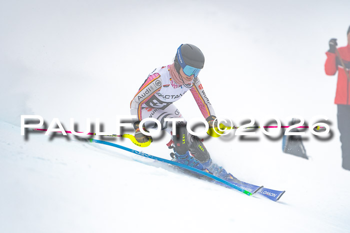 DSV Actanol Schülercup U16 SL