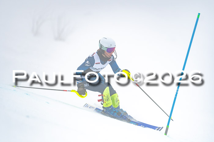 DSV Actanol Schülercup U16 SL