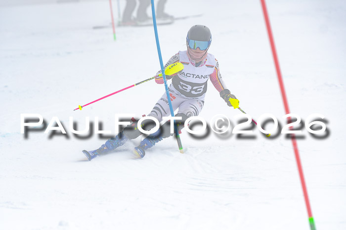 DSV Actanol Schülercup U16 SL