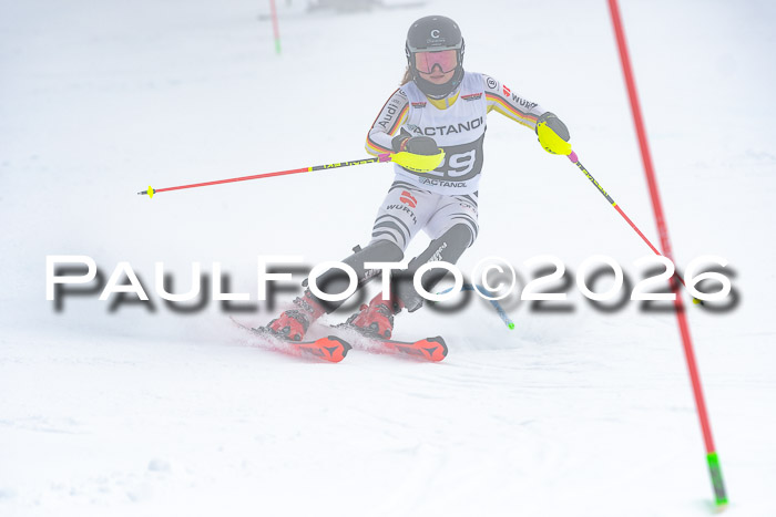 DSV Actanol Schülercup U16 SL