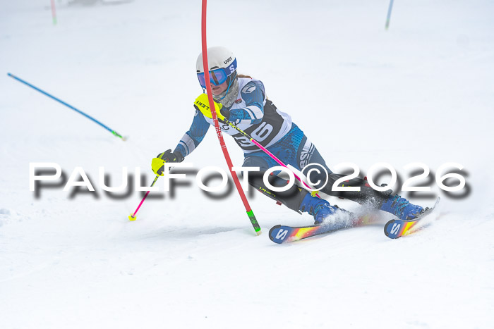 DSV Actanol Schülercup U16 SL