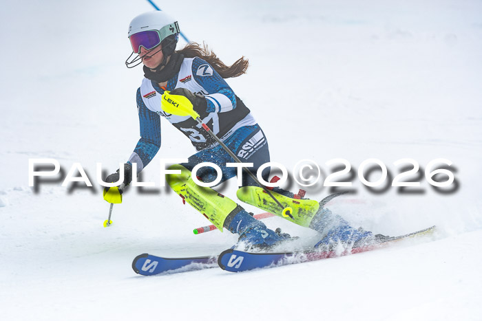 DSV Actanol Schülercup U16 SL