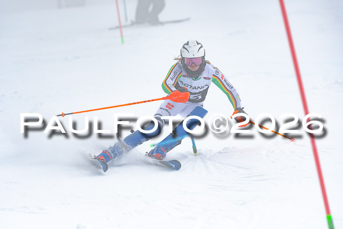 DSV Actanol Schülercup U16 SL