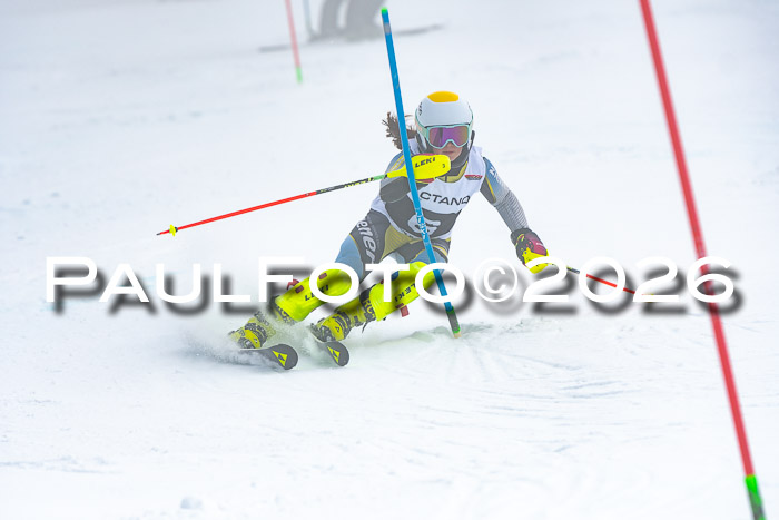 DSV Actanol Schülercup U16 SL