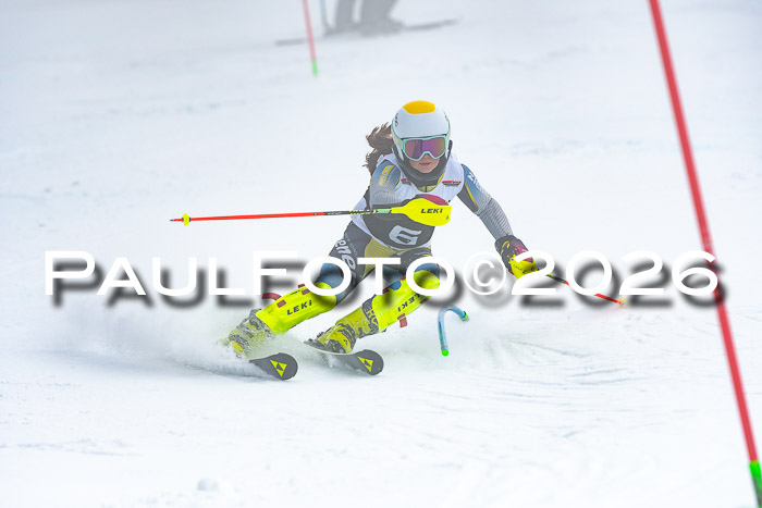 DSV Actanol Schülercup U16 SL