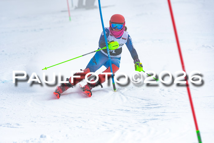 DSV Actanol Schülercup U16 SL