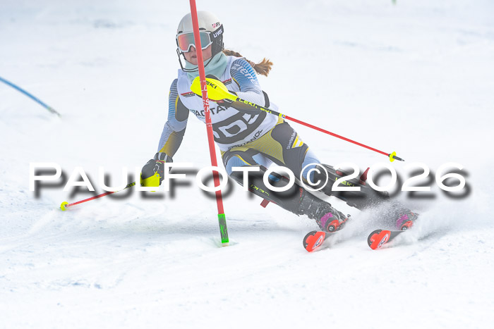 DSV Actanol Schülercup U16 SL